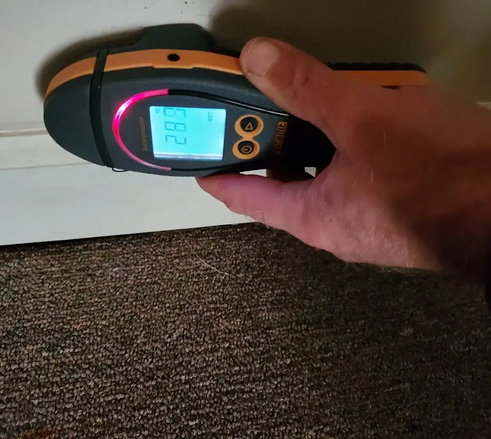 Moisture detection at baseboard during Sewage Cleanup & Sanitation in Rosaryville